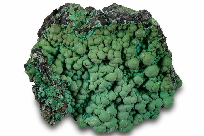 Blue-Green Botryoidal Chrysocolla - Planet Mine, Arizona #318971